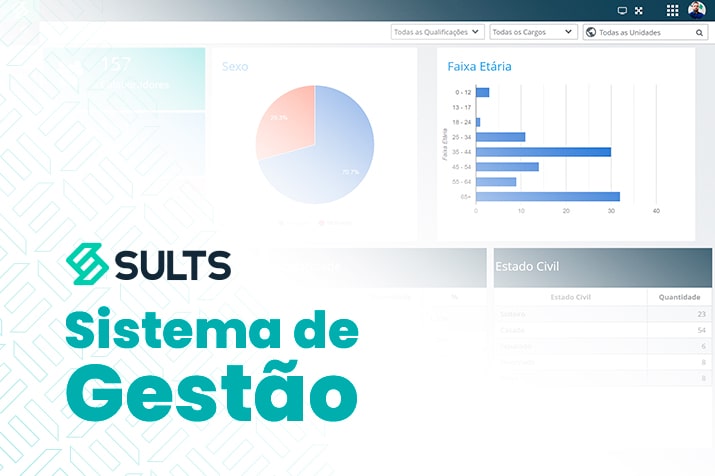 Sistema-de-gestao-SULTS - Blog SULTS Gestão de estoque - imagem representativa de uma tela dentro do SULTS